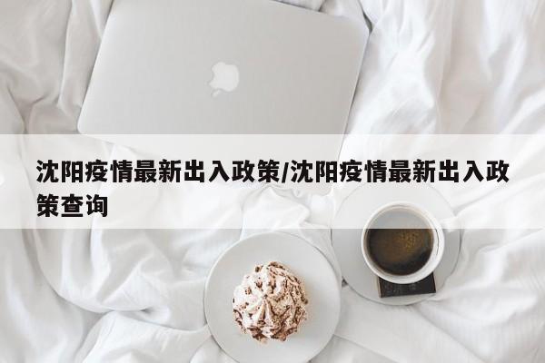 沈阳疫情最新出入政策/沈阳疫情最新出入政策查询